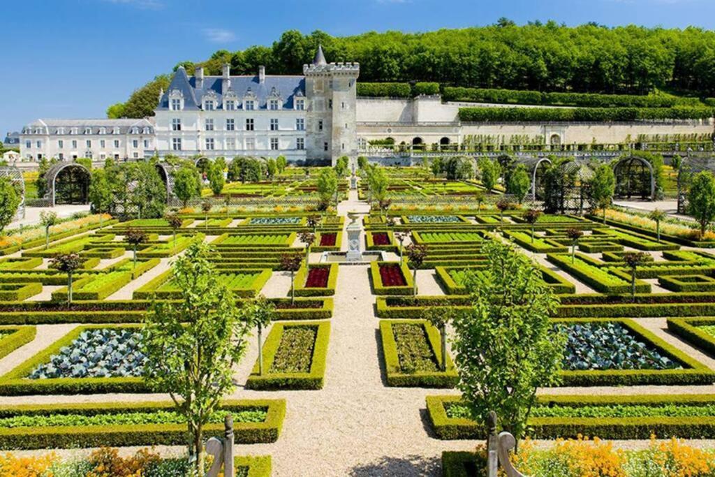 Amalouyse Studio De Charme Au Coeur Des Chateaux De Loire 몬트리오스수르로아 외부 사진