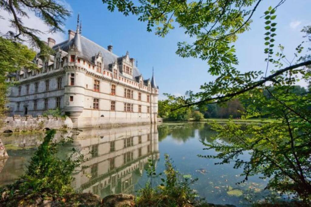 Amalouyse Studio De Charme Au Coeur Des Chateaux De Loire 몬트리오스수르로아 외부 사진