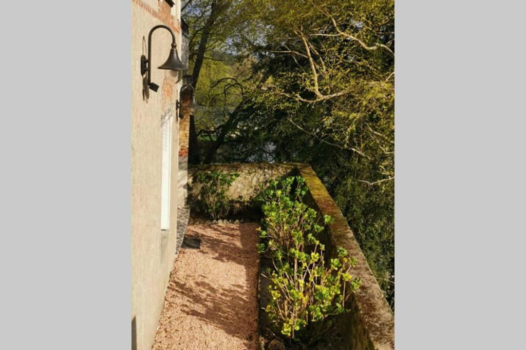 Amalouyse Studio De Charme Au Coeur Des Chateaux De Loire 몬트리오스수르로아 외부 사진