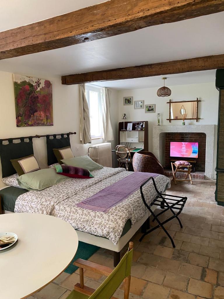Amalouyse Studio De Charme Au Coeur Des Chateaux De Loire 몬트리오스수르로아 외부 사진
